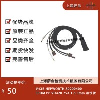 進口B.HEPWORTH 80200400清洗管